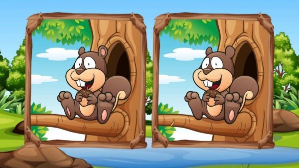 Jungle 5 Diffs - Spot the Difference Puzzle Game