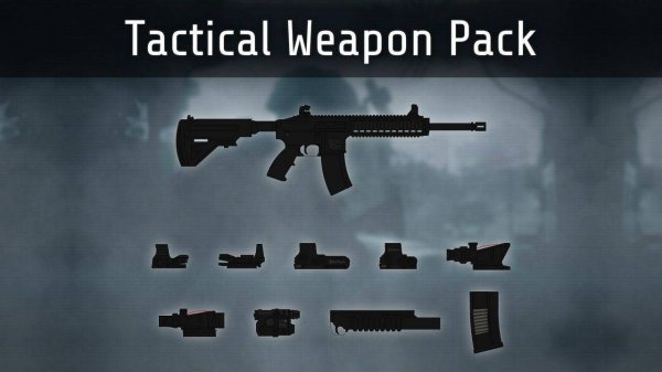 Tactical Weapon Pack Online Game