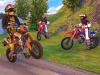 Dirt Track Motorcycle Challenge