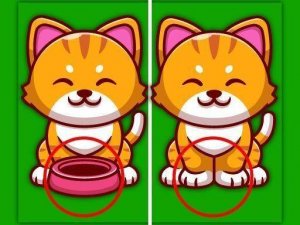Find The Difference Animal Puzzle Game