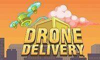 Drone Delivery Online Game