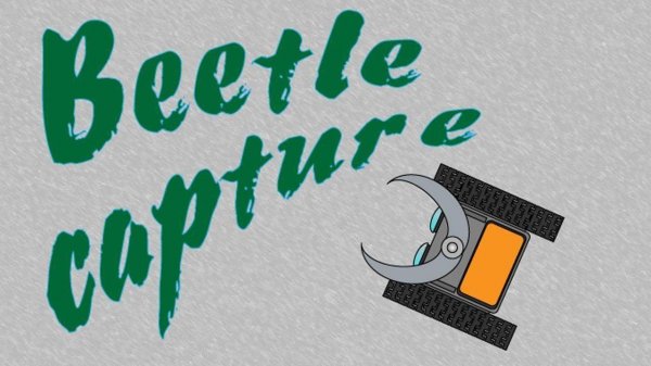 Beetle Capture Online Game