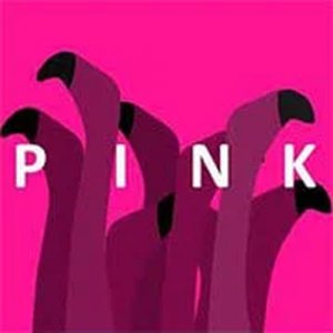 Pink Puzzle Game