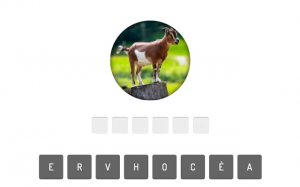 Animal Quiz Game - Free Trivia Challenge Online