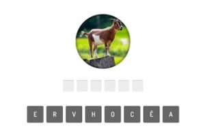 Animal Picture Quiz