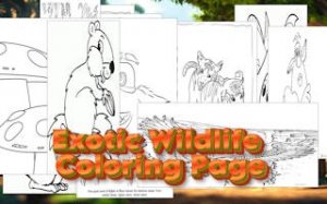 Wildlife Color Canvas: A Browser Painting Game