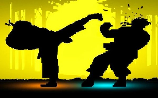 Shadow Fights Online Game